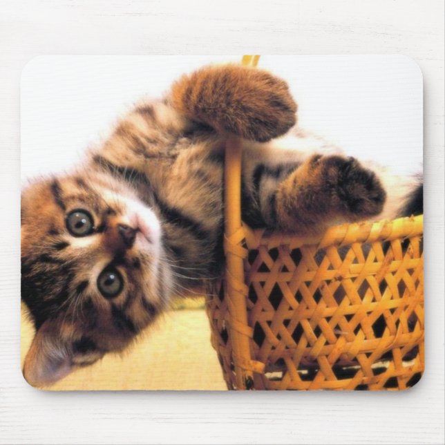 Cute cat mouse pad (Front)