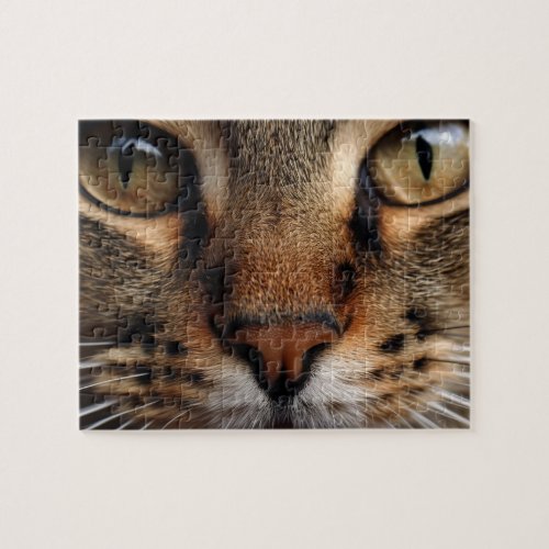 Cute cat nose and eye front closeup Pet animal  Jigsaw Puzzle