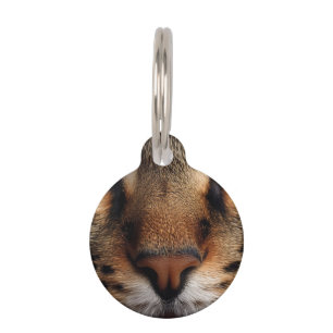 Cute cat nose front closeup. Pretty kitty animal Pet ID Tag