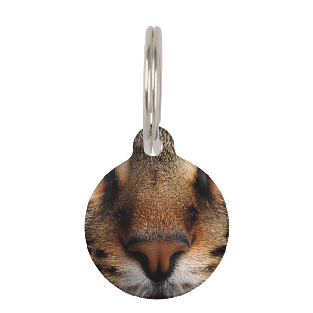 Cute cat nose front closeup. Pretty kitty animal Pet ID Tag (Front)