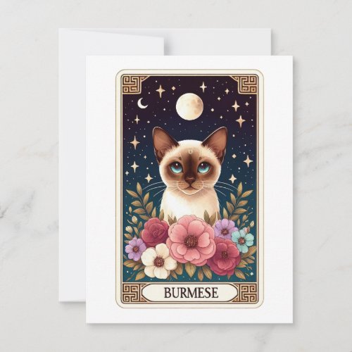 Cute Cat Note Card