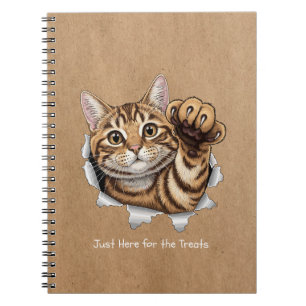 Cute Cat Notes - Spiral Photo Notebook