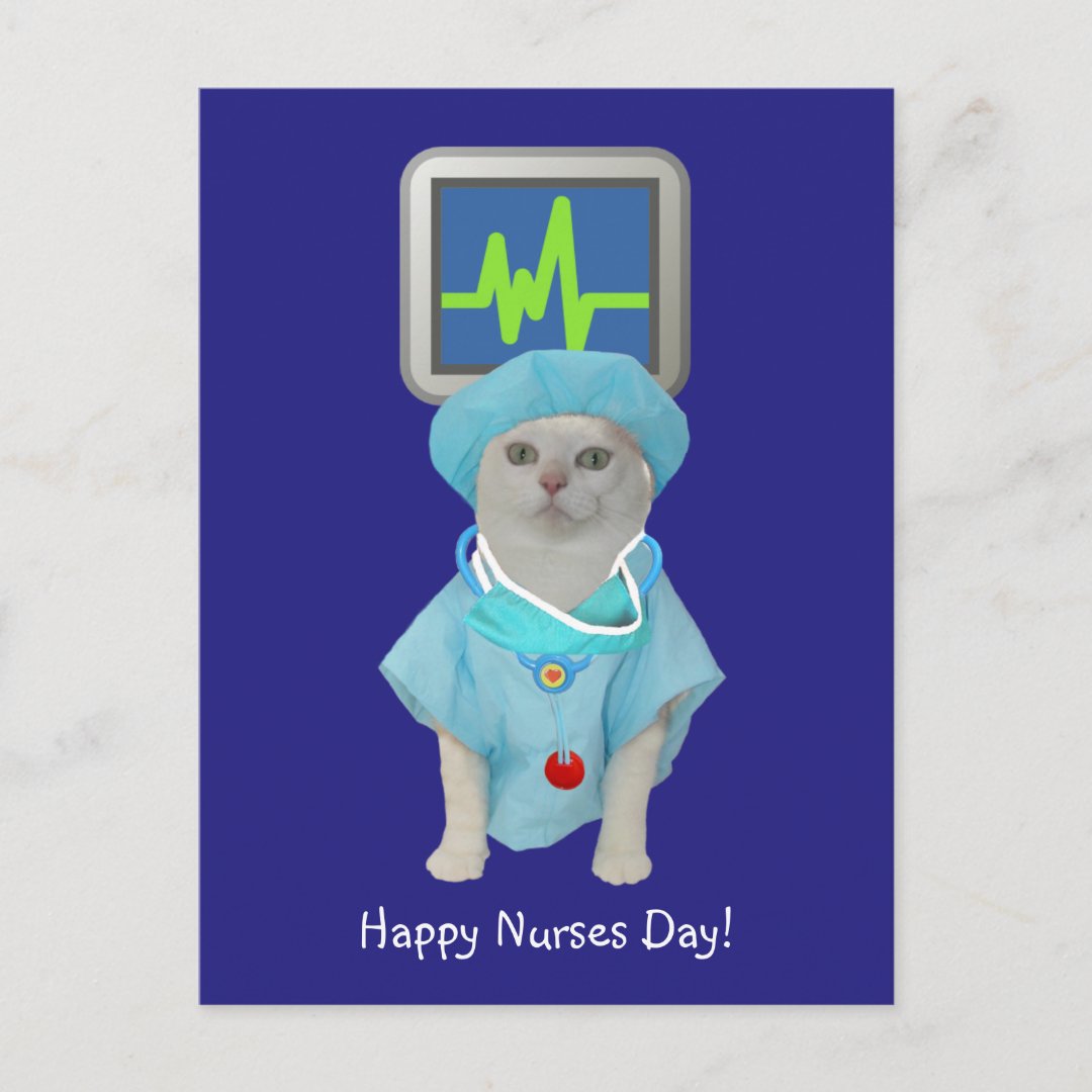 Cute Cat Nurses Day Postcard Zazzle