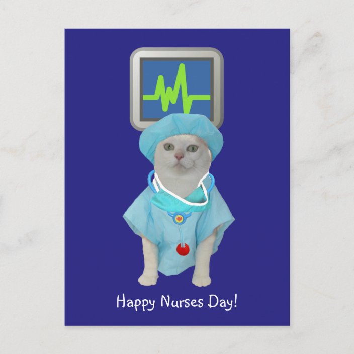 Cute Cat Nurses Day Postcard | Zazzle.com