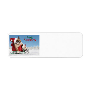 Cute cat on a sleigh label