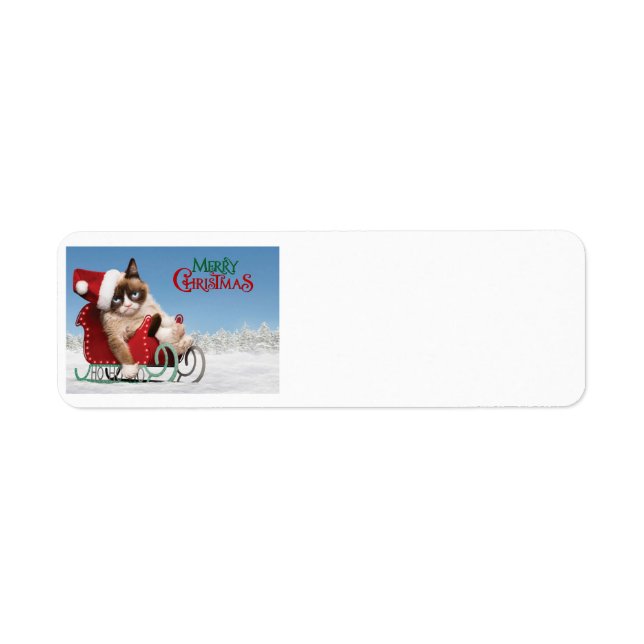 Cute cat on a sleigh label (Front)