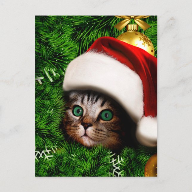 Cute Cat on Christmas tree Postcard (Front)