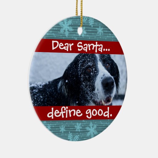 Cute Cat or Dog Pet Christmas Photo Ornament | Zazzle