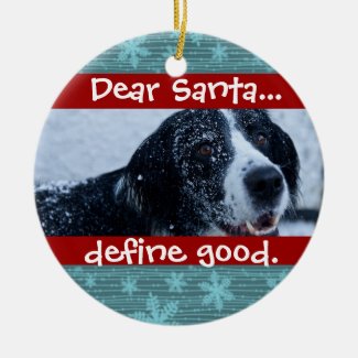 Cute Cat or Dog Pet Christmas Photo Ornament
