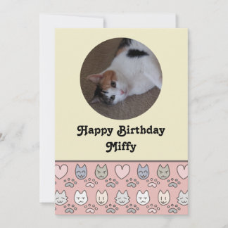Cute Cat Pattern Birthday Card