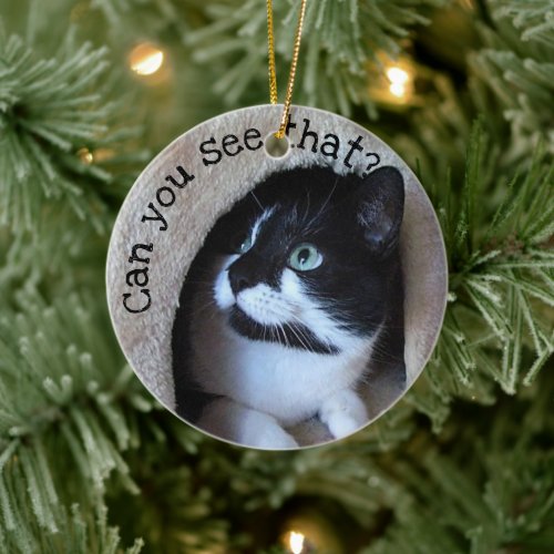 Cute Cat Peeking Ceramic Ornament