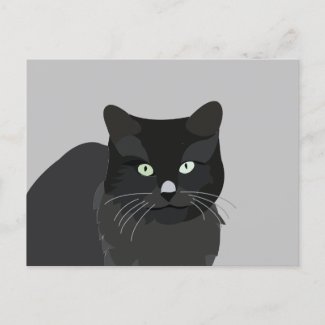 Cute Cat Pet Animal