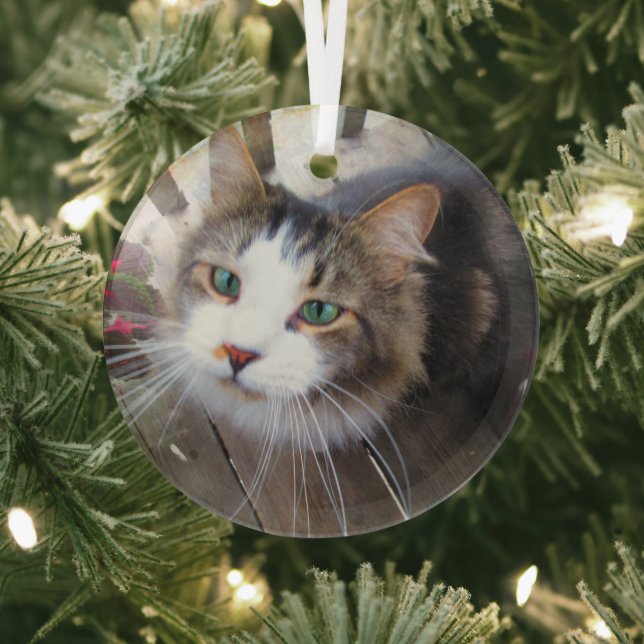 Cute Cat Pet Lovers Create Your Own Custom Glass Ornament (Insitu)