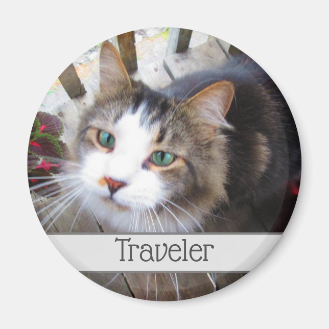 Cute Cat Pet Lovers Create Your Own Custom Magnet (Front)