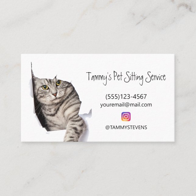 Cute Cat Pet Sitting Service Social Media Business Card (Front)