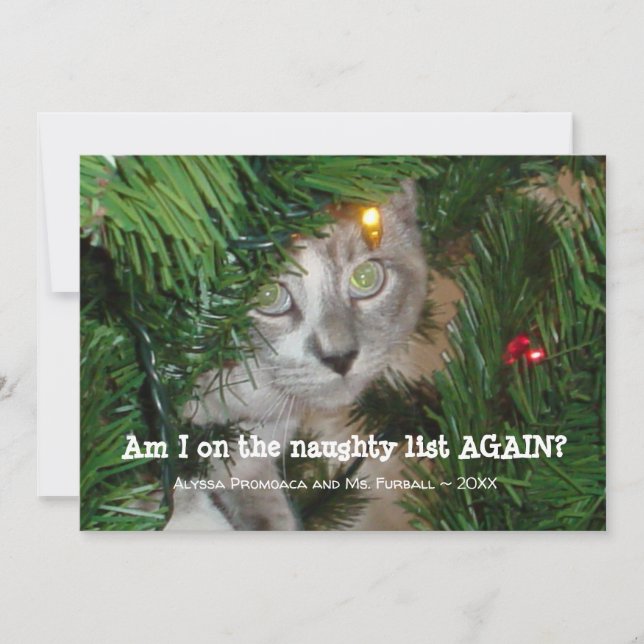Cute Cat Photo Christmas Card Add Your Pet Photo (Front)