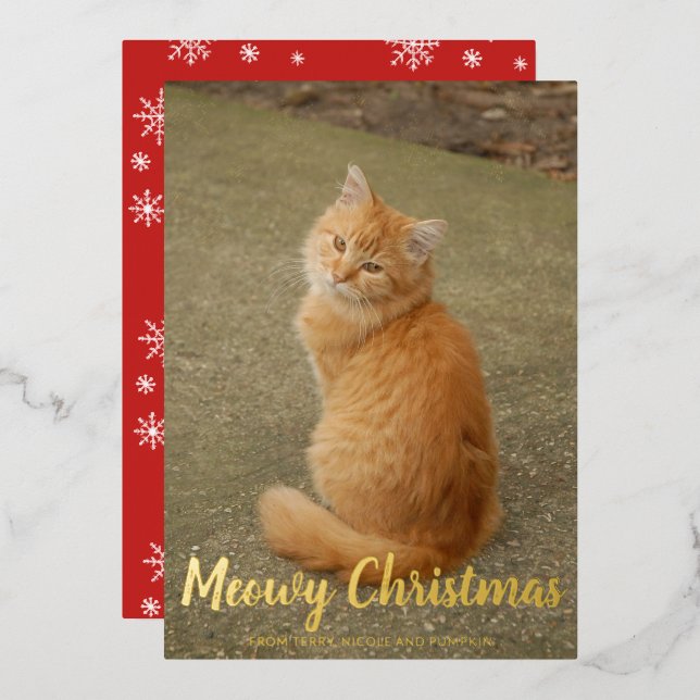 Cute Cat Photo Fun Modern Christmas Foil Holiday Card (Front/Back)