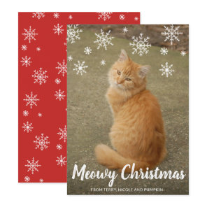 Cute Cat Photo Fun Modern Christmas Holiday Card