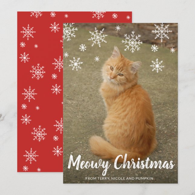 Cute Cat Photo Fun Modern Christmas Holiday Card (Front/Back)