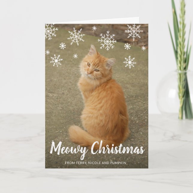 Cute Cat Photo Fun Modern Christmas Holiday Card (Front)