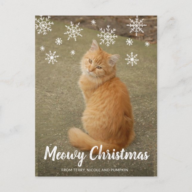 Cute Cat Photo Fun Modern Christmas Holiday Postcard (Front)