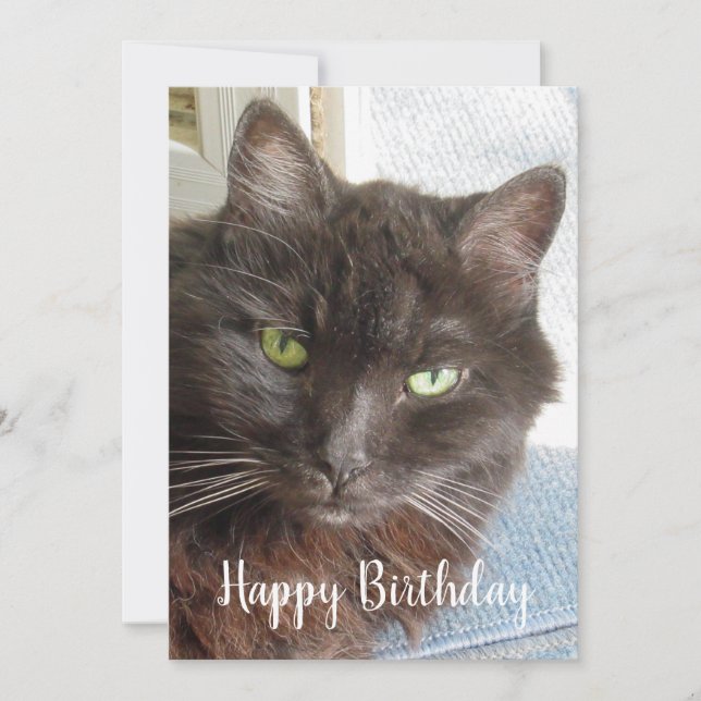 Cute Cat Photo Happy Birthday Flat Card (Front)