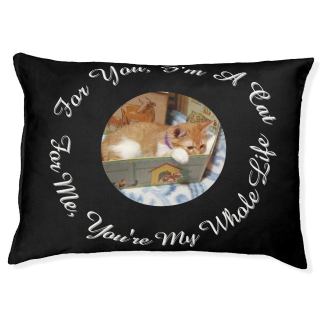 Cute Cat Photo, Name, Text, replaceable, Cat Pet Bed (Front)