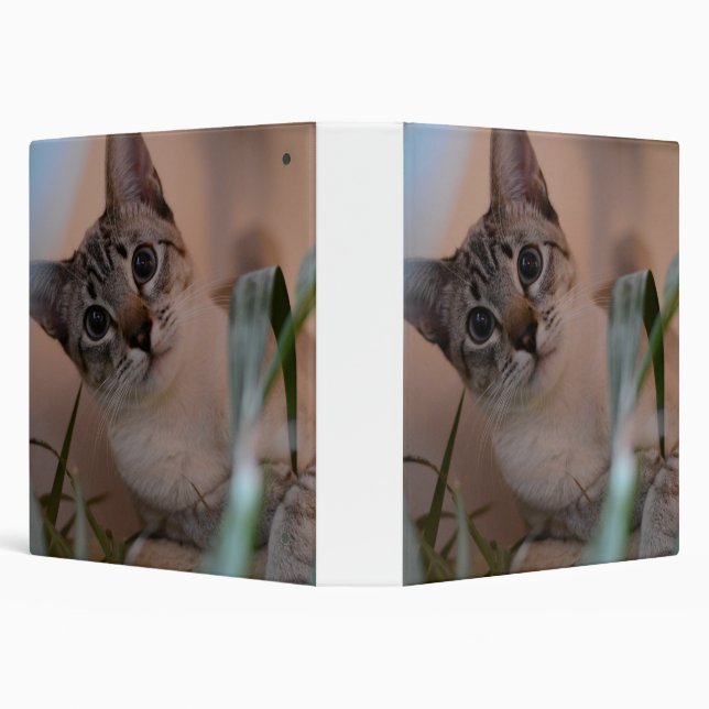 Cute Cat Photo Portrait 3 Ring Binder (Background)