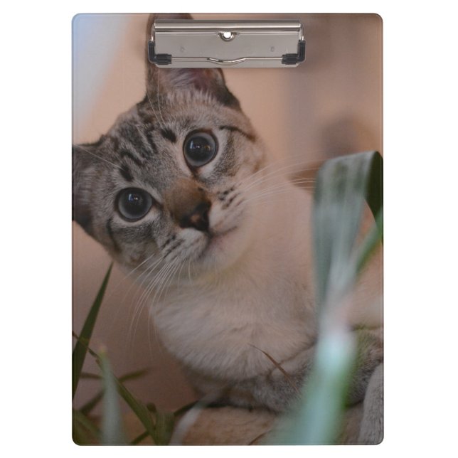 Cute Cat Photo Portrait Clipboard (Front)