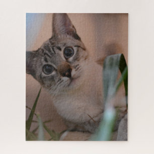 Cute Cat Photo Portrait Jigsaw Puzzle