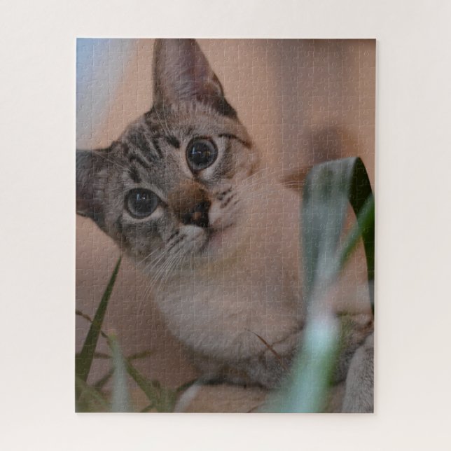 Cute Cat Photo Portrait Jigsaw Puzzle (Vertical)