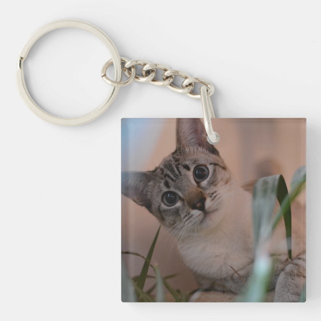 Cute Cat Photo Portrait Keychain (Front)