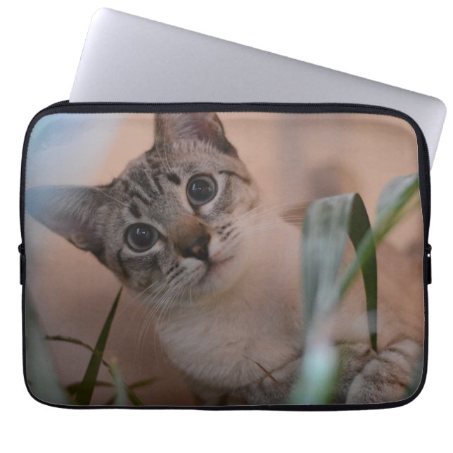Cute Cat Photo Portrait Laptop Sleeve (Front)