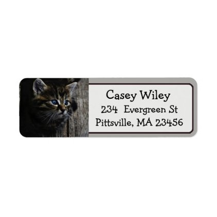 Cute Cat Photo Return Address Label