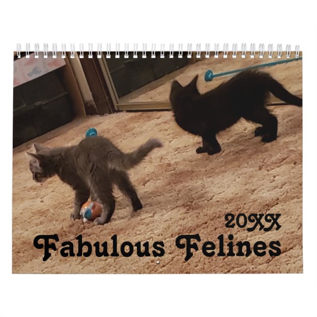 Cute Cat Photos with Fun Sayings  Calendar (Cover)