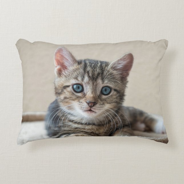 Cute Cat Pillow (Front)