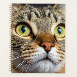 Cute cat planner