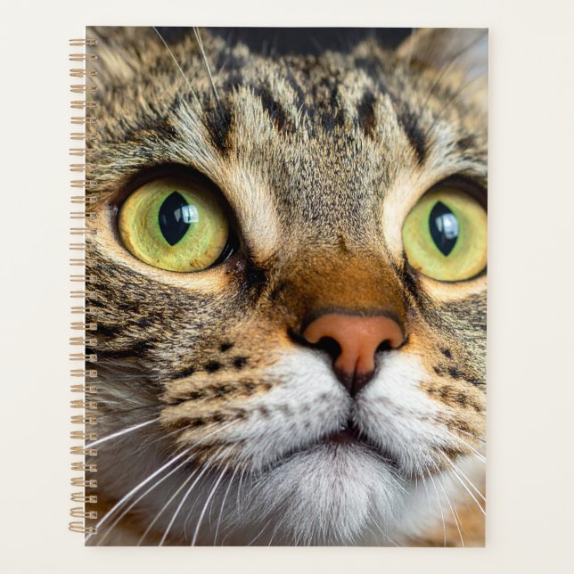 Cute cat planner (Front)