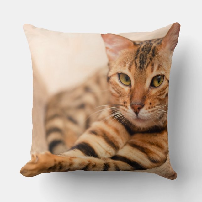 Cute Cat Polyester Throw Pillow 20" x 20" (Front)