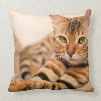 Cute Cat Polyester Throw Pillow 20" x 20"