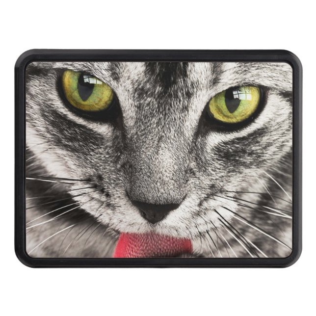 Cute Cat Portrait Trailer Hitch Cover (Front)