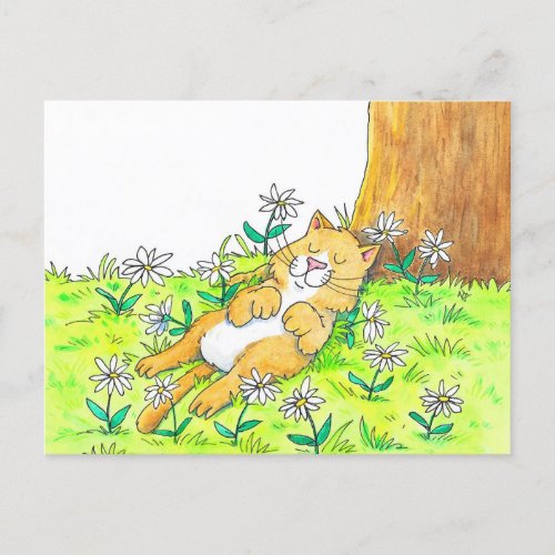 Cute Cat Postcard