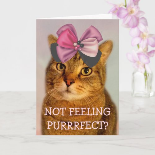 Cute Cat Pun Joke Get Well Card