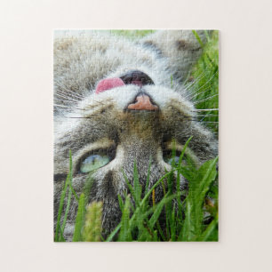 Cute Cat puzzels Jigsaw Puzzle