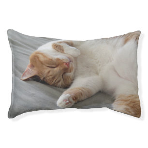Cute cat sleeping Dog Bed