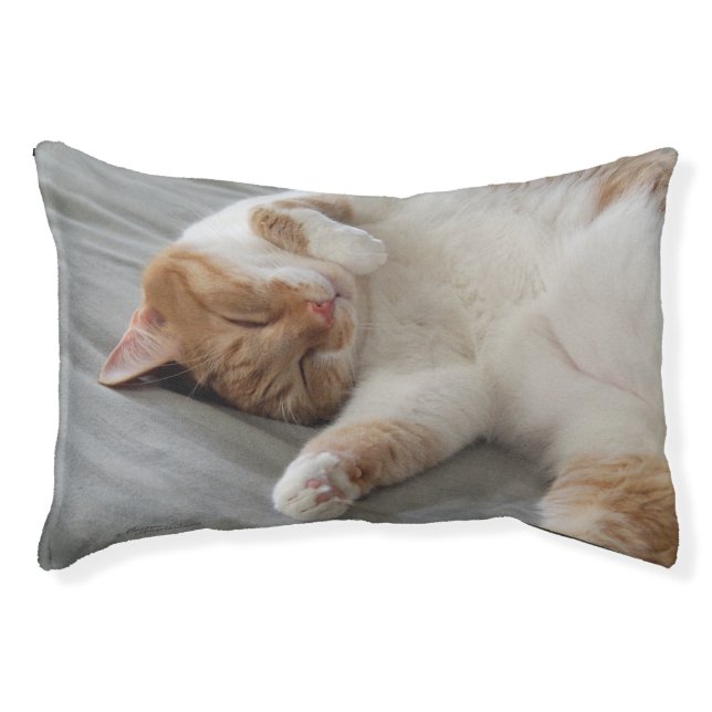 Cute cat sleeping Dog Bed (Front)