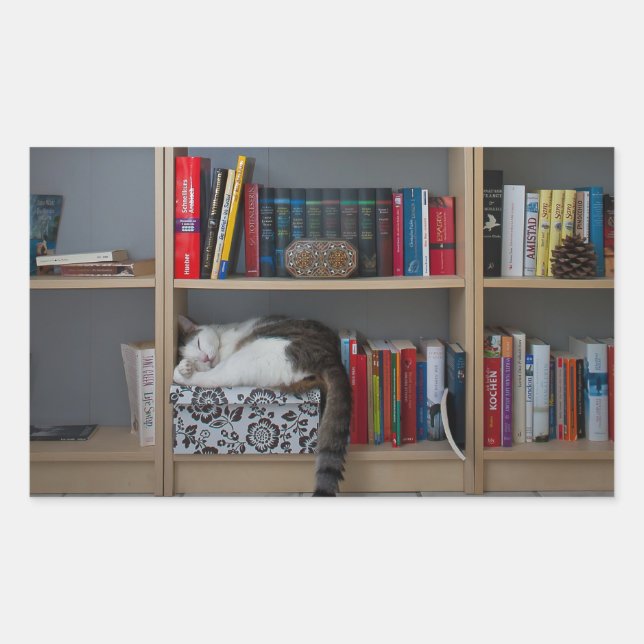 Cute cat sleeping on bookshelf library books rectangular sticker (Front)