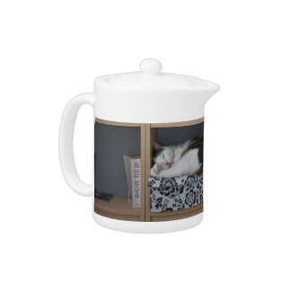 Cute cat sleeping on bookshelf library books teapot