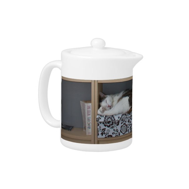 Cute cat sleeping on bookshelf library books teapot (Left)