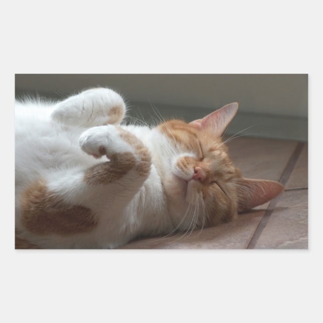 Cute Cat sleeping Rectangle Stickers (Front)